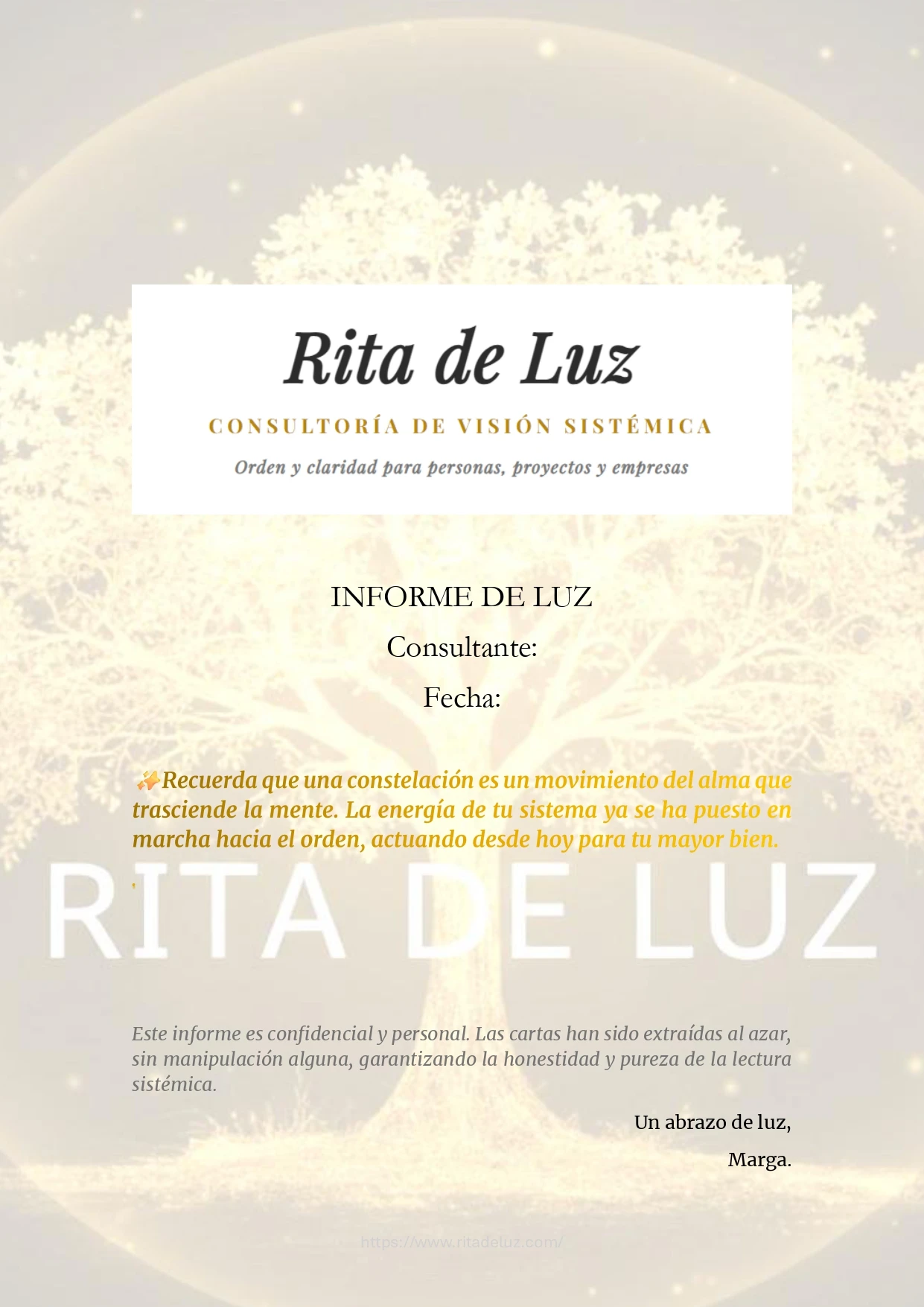 Plantilla Informe de Luz Rita de Luz